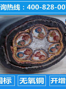 铠装计算机电缆ZR-DJYJPVRP22-2*2*0.5/0.75/1/1.5/2.5