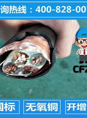 变频电缆BPYJVP/BPYJVP2-4*16/4*25/4*35/4*50/4*70/4*95/4*120