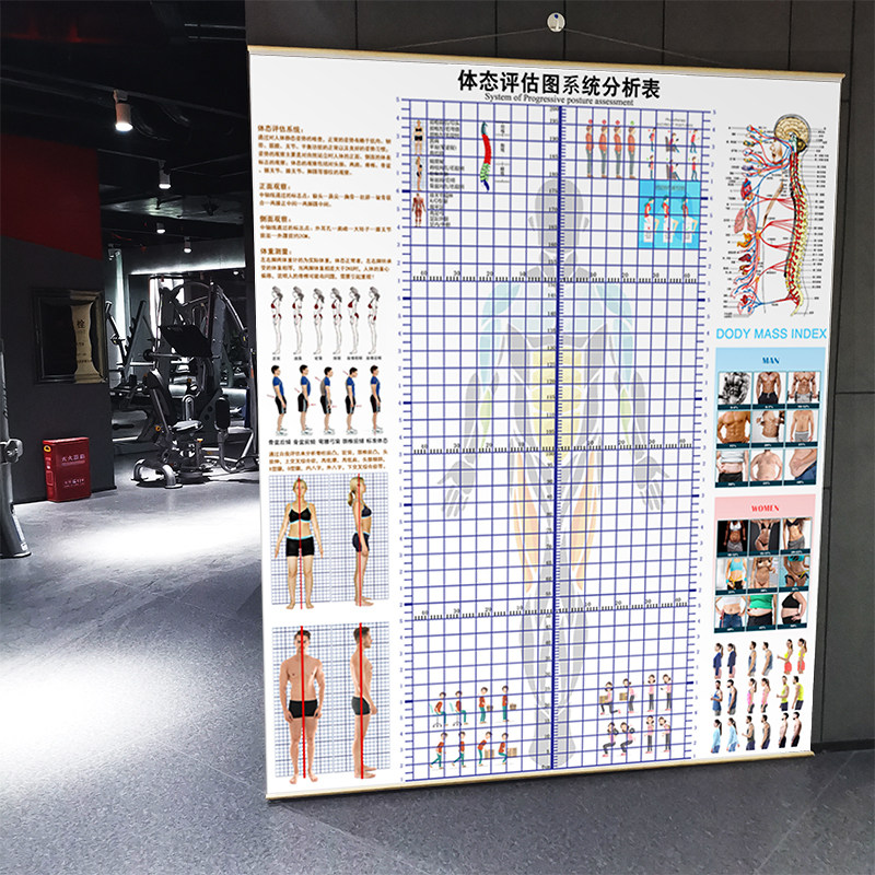 现货体态评估表健身房体测评估表瑜伽私教医疗形体修复身体评估图