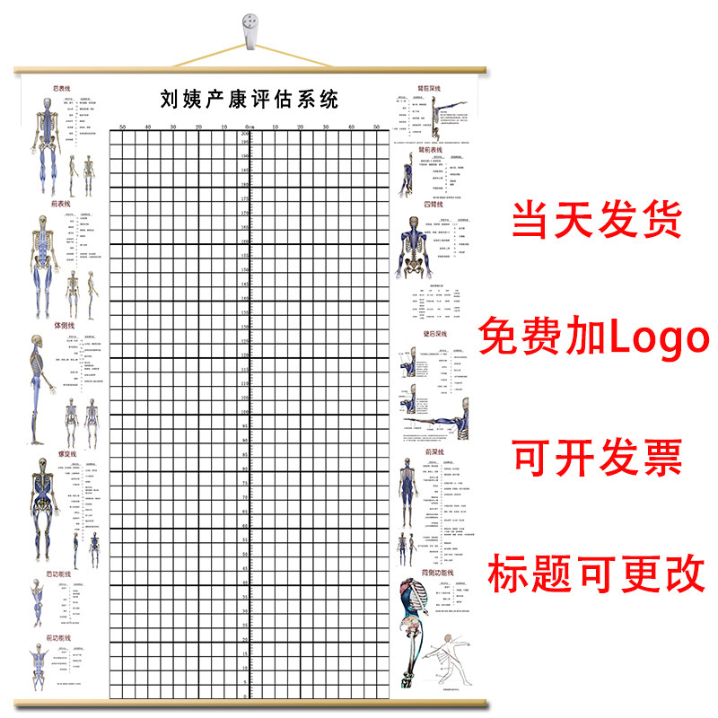 体态评估表墙贴纸身高体测图健身房体测网格纸身体评估矫正体态表