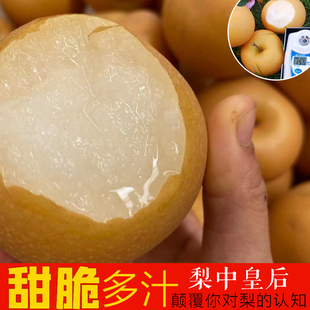 水果 新鲜梨子正宗秋月梨9斤冰糖超甜多汁大现摘整箱顺丰孕妇当季
