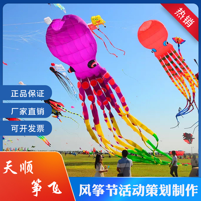 源头厂家风筝节策划天顺专业放飞