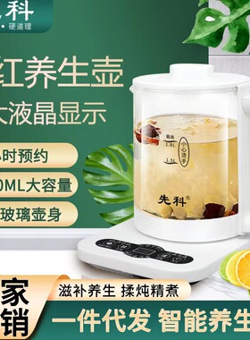 养生壶 家用小型多功能玻璃电热水壶煮茶器花茶杯other/其他