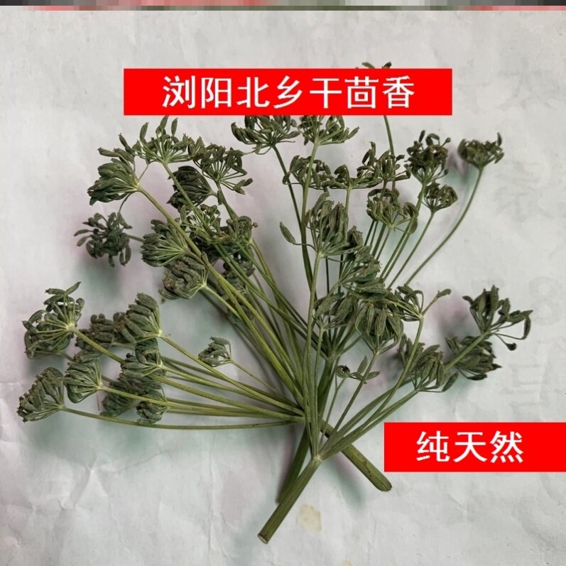 2025 新茴香干花束 浏阳茴香茶 北乡传统自制烟茶搭档250g