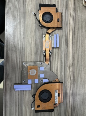 5H40X89383 联想 Thinkpad P15 P17 Gen 1 散热器 原装模组 拆机