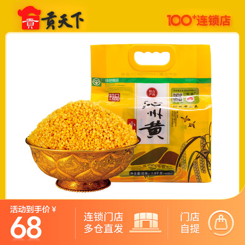 新米上市山西特产沁州农家小黄米