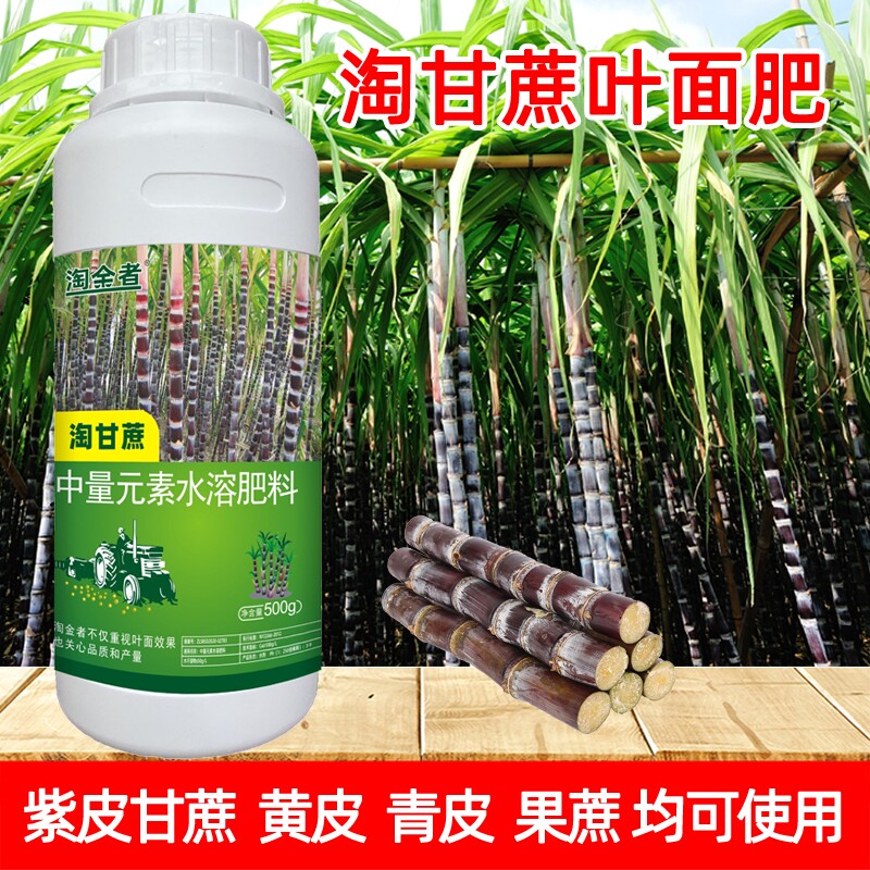 甘蔗叶面肥水溶肥料淘金者