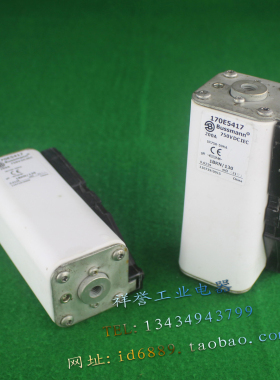 美国 Bussmann 170E5417 熔断器 200A 750VDC 保险管