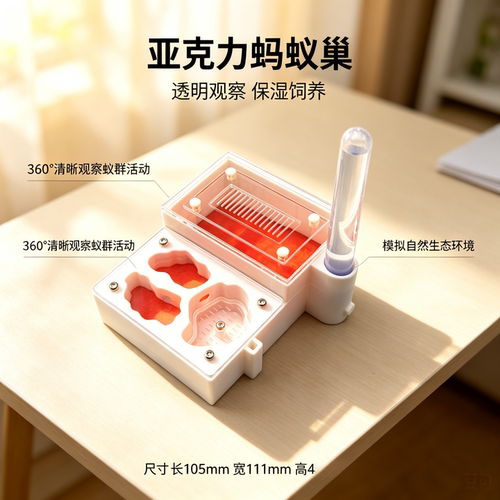 深山小号亚克力蚂蚁巢保湿喂水器