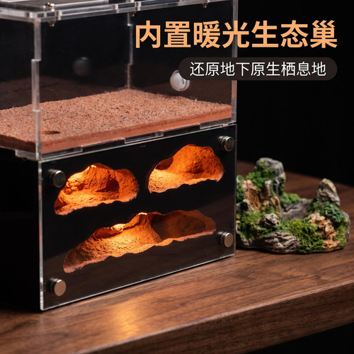 天空城灯版全透带灯蚂蚁饲养盒