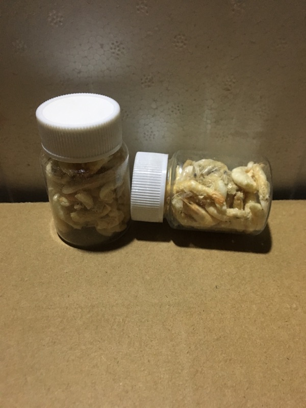 虾干 蚂蚁食物 蚂蚁补充蛋白质 代替活体蟑螂面包虫