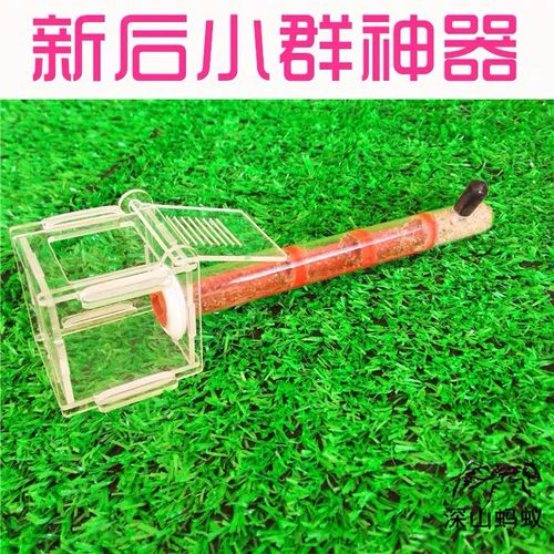 单试管巢亚克力蚂蚁巢竹节巢混