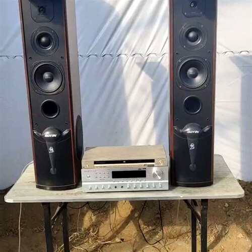 议价BOYIN落地箱加功放完皮毛也行邮适用