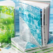 语闲宇宙苔痕古早昭和日系手账贴纸本装 饰手帐素材切模闪膜贴纸书