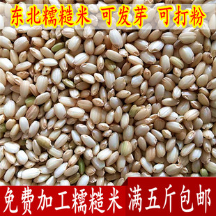 东北五常农家25年新糯稻谷免费加工糯糙米糯米粉醪糟酿酒500g 包邮