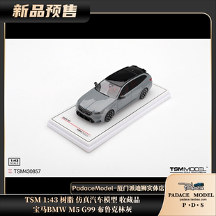 汽车模型 树脂 宝马 仿真 TSM G99 布鲁克林灰 BMW PDS