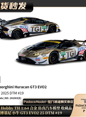 兰博基尼小牛GT3EVO225DTM