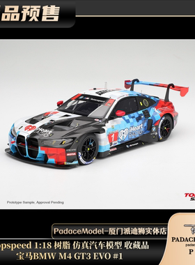 [PDS]Topspeed 1:18宝马BMW M4 GT3 EVO #1 树脂车模 收藏品