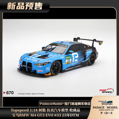 宝马BMWM4GT3EVO#3325年DTM