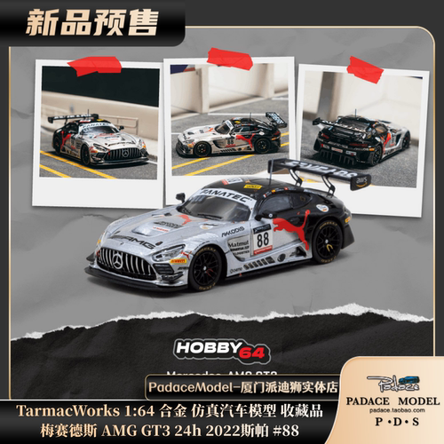 梅赛德斯AMGGT324h22斯帕#88