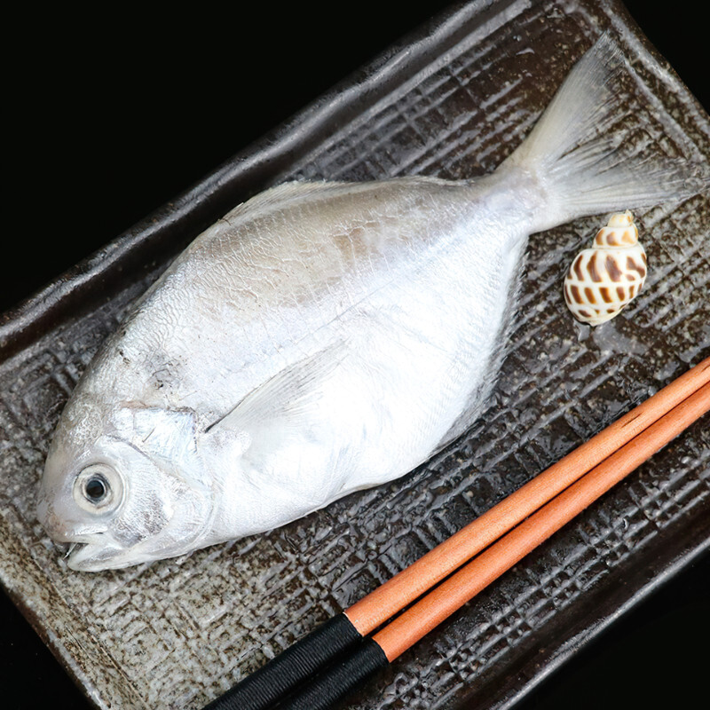 肉鲳鱼 福建东山岛海鲜直销 肉多刺少肉鲫鱼南昌鱼 3- 4条/500g盒