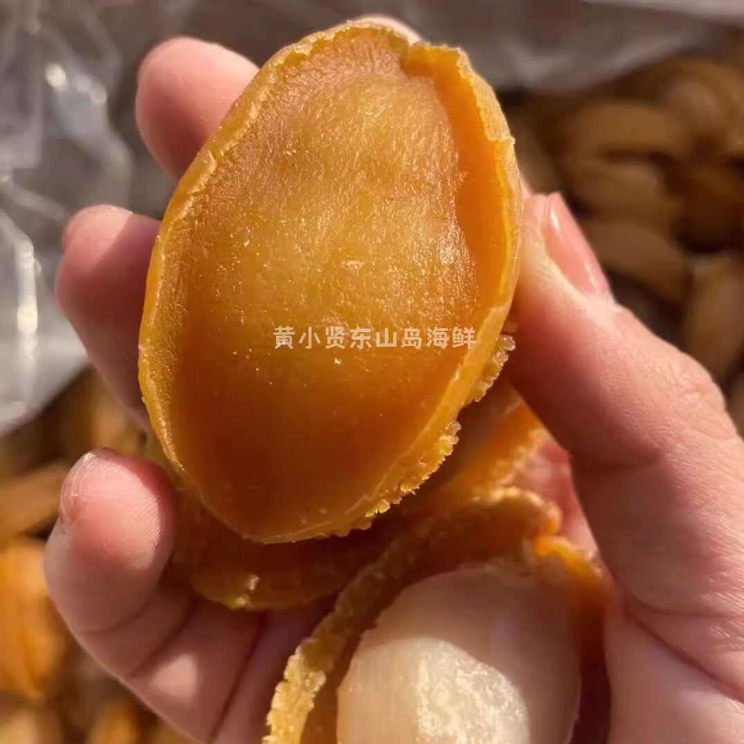 黄小贤东山岛海鲜特产鲍鱼干送礼