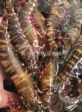 黄小贤东山岛海鲜黑节虾斑节大虾