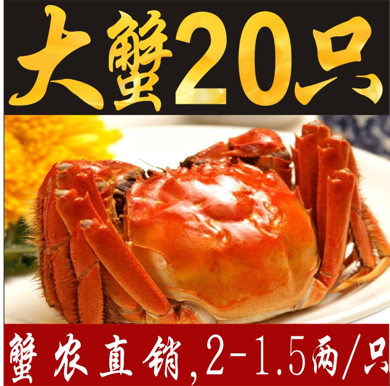 秋水盘锦河蟹包邮鲜活稻田蟹特大全母大闸蟹螃蟹20二十只23两公母