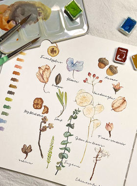 邱啊璐水彩钢笔淡彩植物水彩工具包