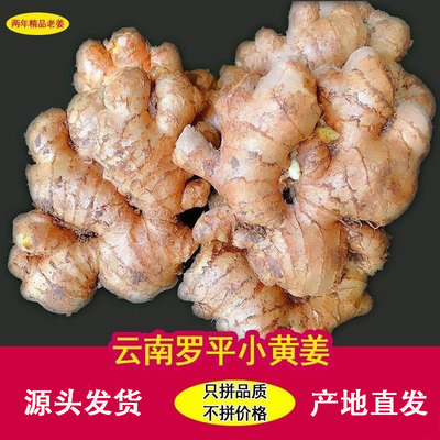 云南罗平小黄姜浓香两年老姜