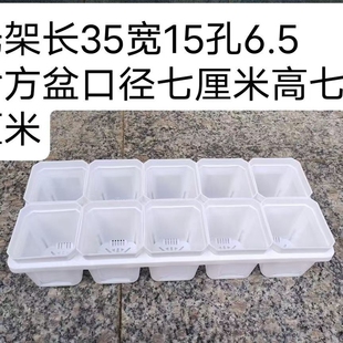 7方加厚多肉盆特厚7方足尺多肉盆育苗盆生石花多肉盆黑色白色加厚