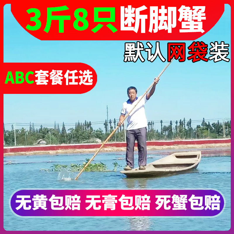 3斤8只固城湖大闸蟹鲜活断脚