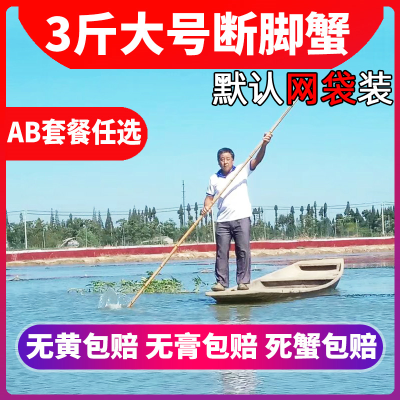 10只残蟹鲜活固城湖大闸蟹包邮