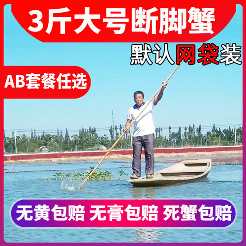 10只残蟹鲜活固城湖大闸蟹包邮
