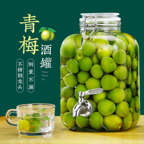 泡酒专用酒瓶杨梅酒酿酒玻璃瓶密封罐子果酒酒桶青梅酒坛酒罐容器