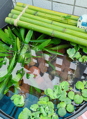 竹排竹垫田园竹子装饰diy摆件