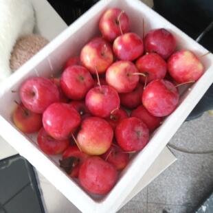 大海棠果，槟海棠果，新鲜，酸甜脆美味，怀来特产一箱包邮