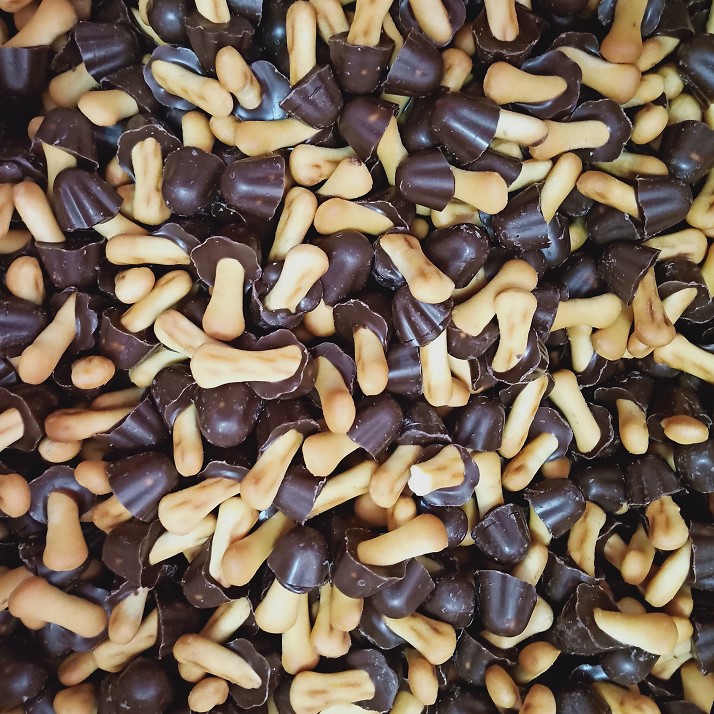 小蘑古头彩色饼干巧克力散装整箱9.8斤蘑菇型巧克力饼干蛋糕房