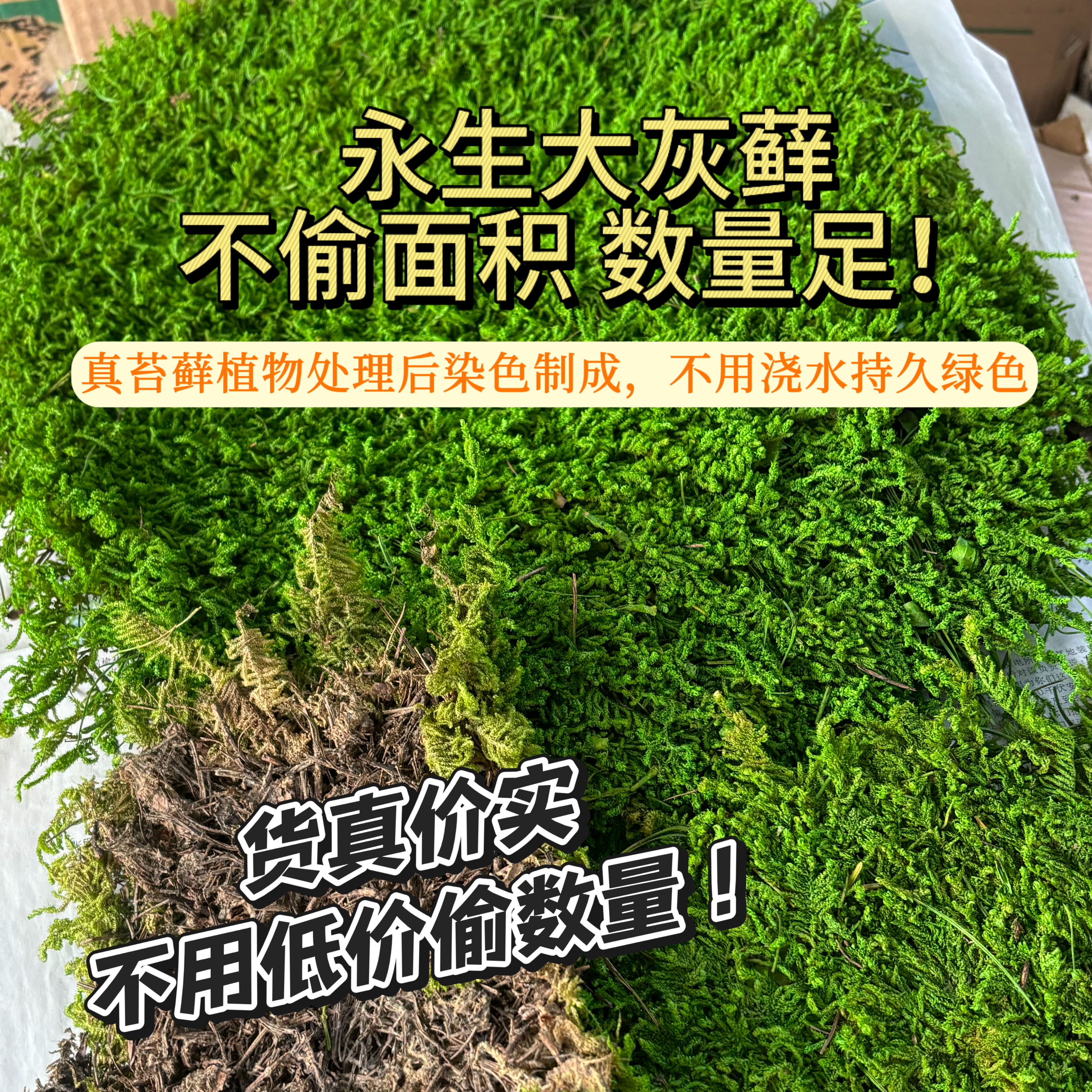 永生苔藓大灰藓枯山水苔藓球软装室内青苔免养护不用浇水绿苔