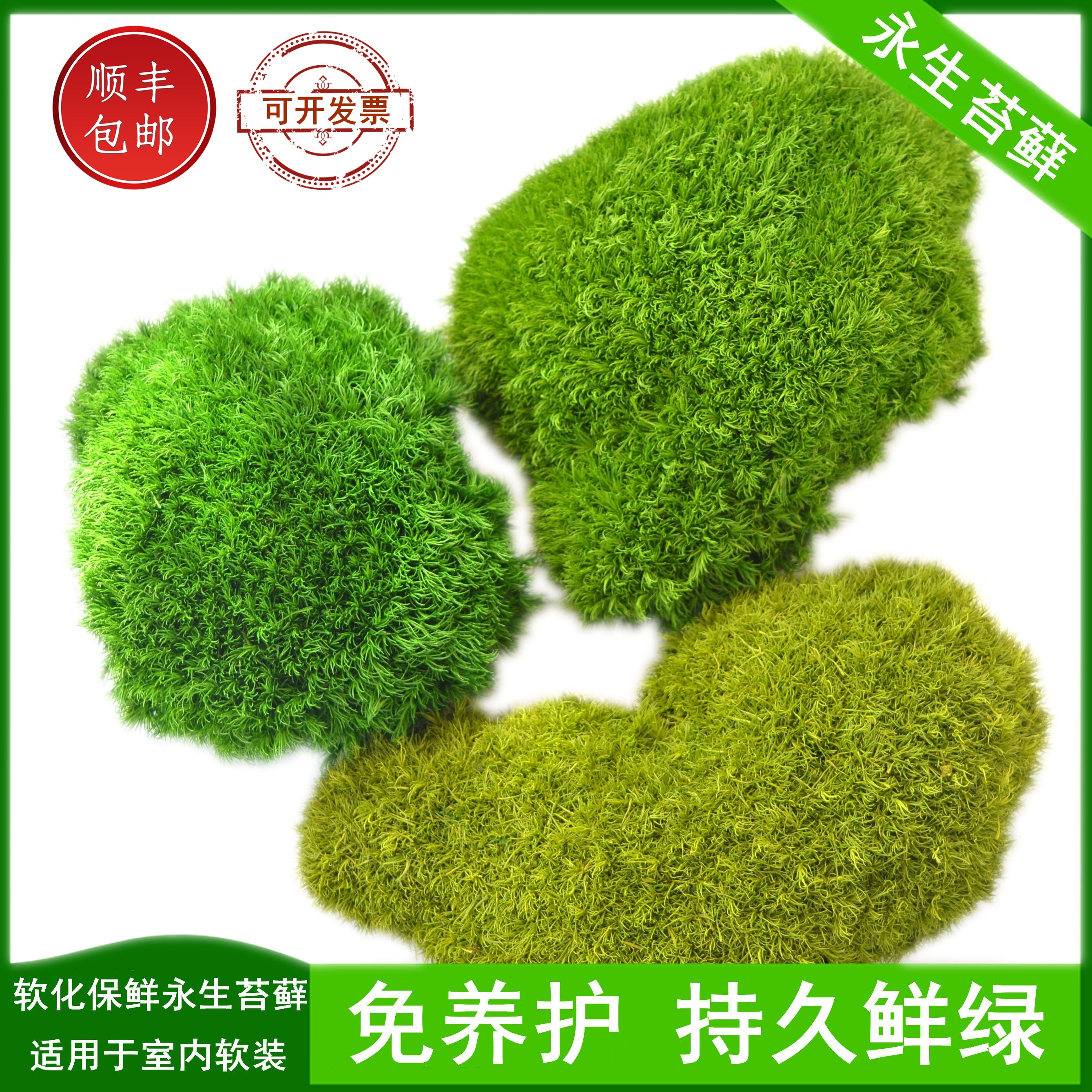永生苔藓大灰藓枯山水干景软装青苔藓球苔藓墙染色青苔沙盘绿苔