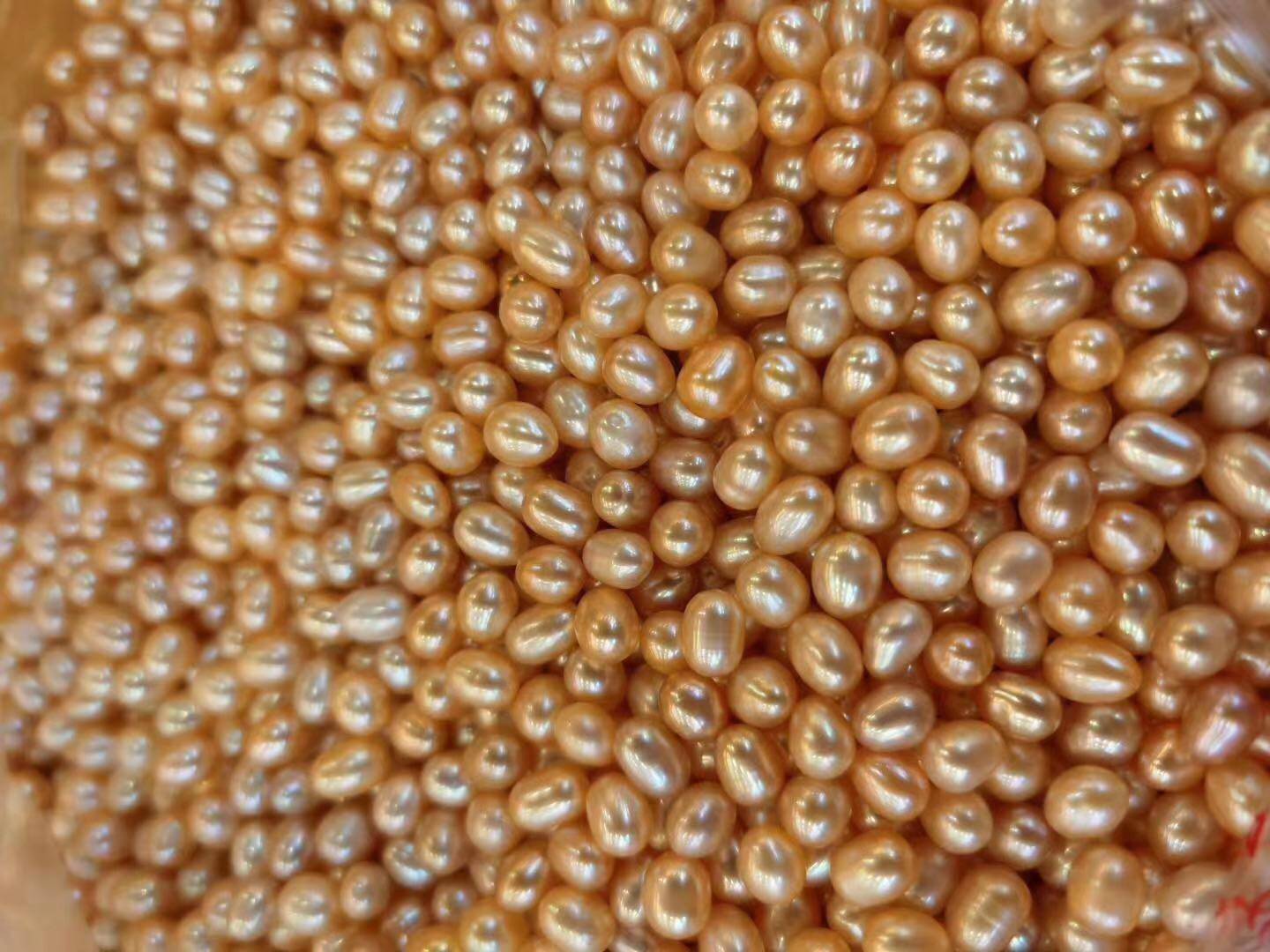 智悲佛缘 天然 修曼扎装藏珍珠 七宝之一珍珠 500克 包邮