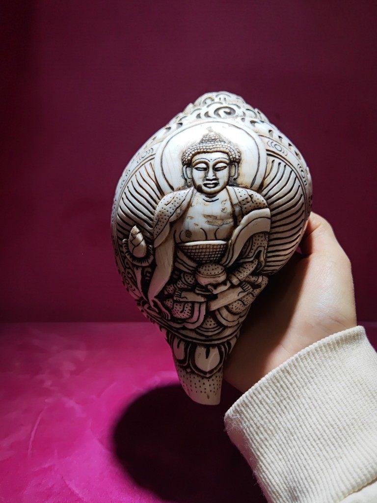 智悲佛缘 印度雕刻海螺20厘米法螺 可吹响 包邮