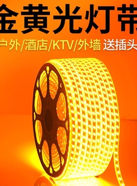 灯带led灯条超亮金黄色光暖黄光黄光户外防水外墙室外酒店KTV220v