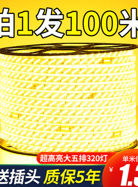 超高亮led灯带户外防水220v工程外墙室外客厅吊顶暖光暖白光灯条