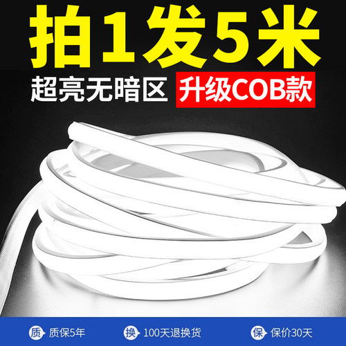 220V灯带led灯条超亮COB户外防水