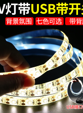 led灯带条自粘5V低压超亮带USB摆摊地摊装饰充电宝线条嵌入式灯条