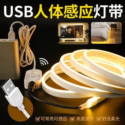 硅胶led灯带自粘感应无线USB充电