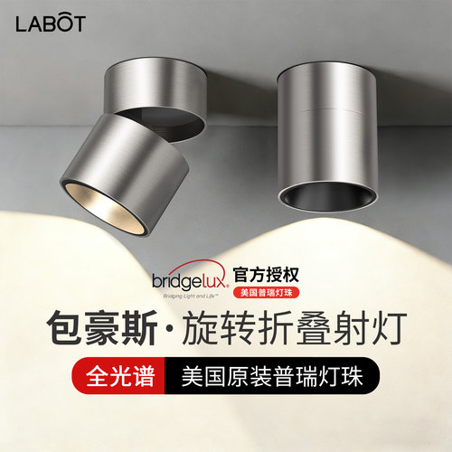 不锈钢色明装可调角led射灯