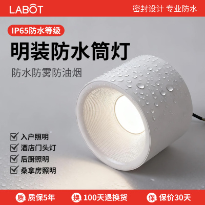 明装防水筒灯户外门头酒店屋檐