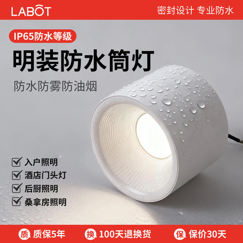 明装防水筒灯户外门头酒店屋檐
